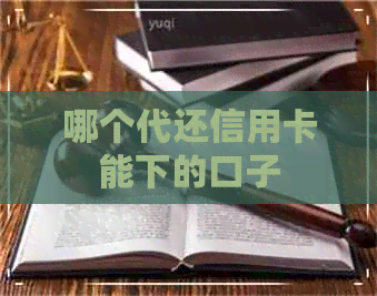 哪个代还信用卡能下的口子 哪个代还信用卡能下的口子
