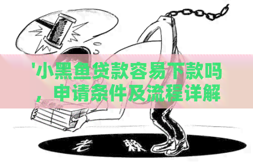 '小黑鱼贷款容易下款吗，申请条件及流程详解，会不会上？官方'