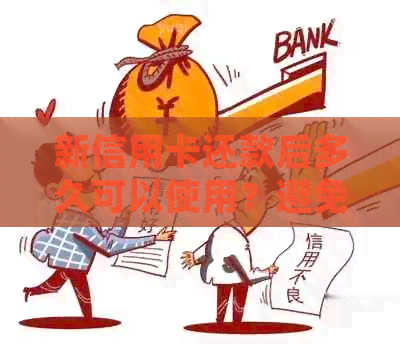 新信用卡还款后多久可以使用？避免风控的时间策略