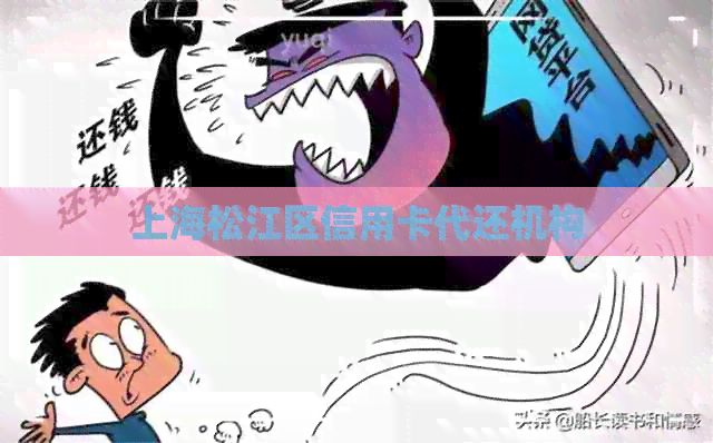 上海松江区信用卡代还机构