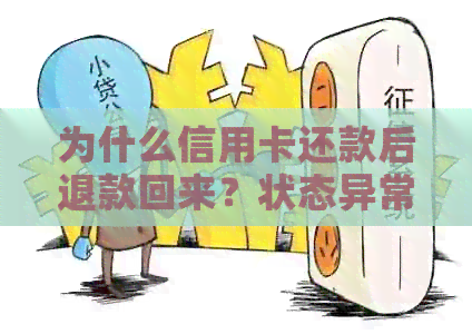 为什么信用卡还款后退款回来？状态异常原因揭秘