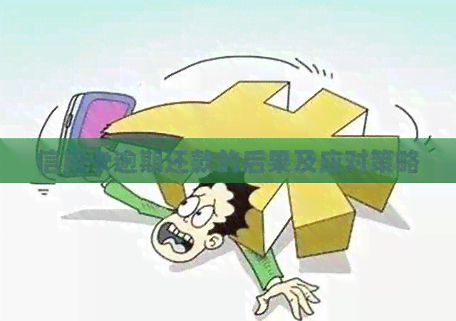 信用卡逾期还款的后果及应对策略