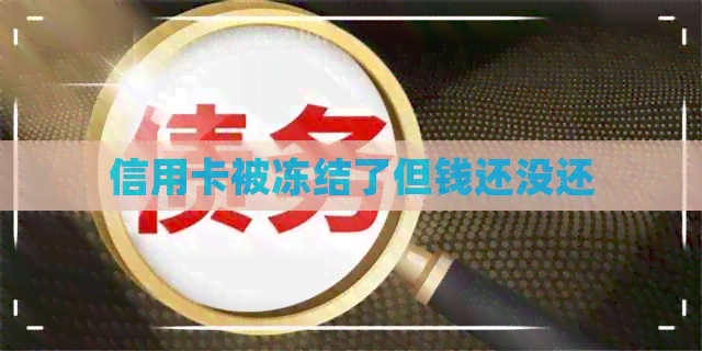 信用卡被冻结了但钱还没还