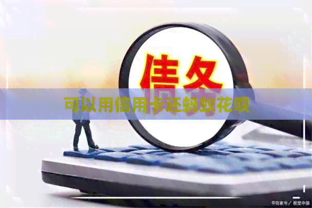 可以用信用卡还蚂蚁信用卡