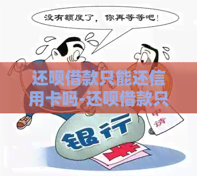 还款借款只能还信用卡吗-还款借款只能还信用卡吗安全吗