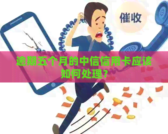 逾期五个月的中信信用卡应该如何处理？