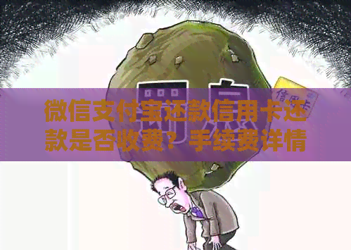 微信支付宝还款信用卡还款是否收费？手续费详情解析及注意事项