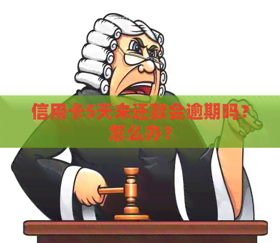 信用卡5天未还款会逾期吗？怎么办？