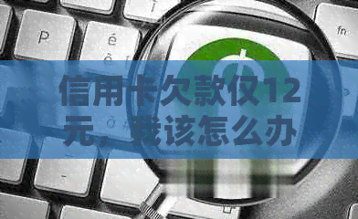 信用卡欠款仅12元，我该怎么办？全面解析解决此问题的各种途径