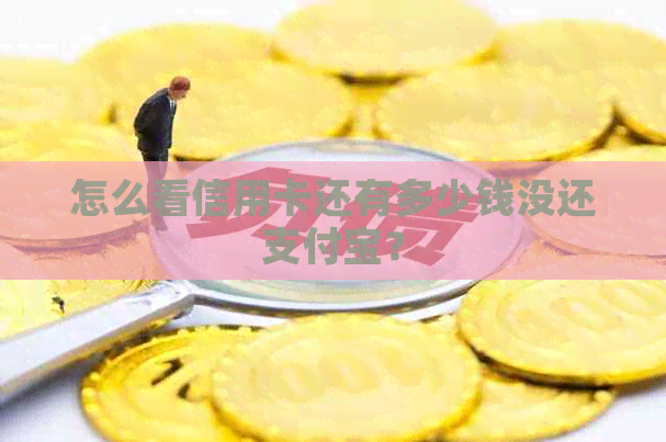 怎么看信用卡还有多少钱没还支付宝？