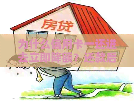 为什么信用卡一还进去立即降额？还款后额度减少的原因与解决策略