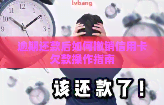 逾期还款后如何撤销信用卡欠款操作指南 逾期还款后如何撤销信用卡欠款操作指南