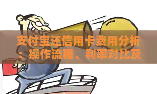 支付宝还信用卡费用分析：操作流程、利率对比及注意事项，哪个更划算？