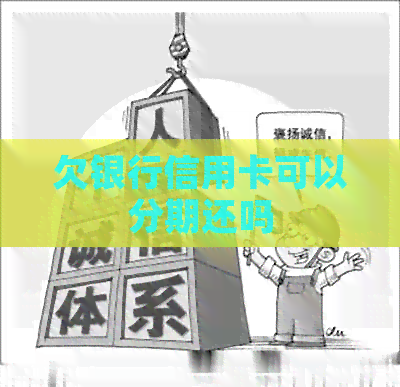 欠银行信用卡可以分期还吗