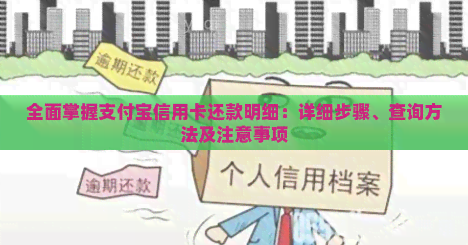 全面掌握支付宝信用卡还款明细：详细步骤、查询方法及注意事项