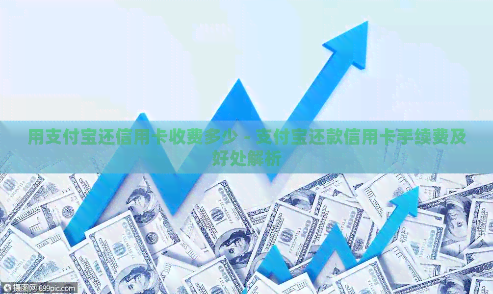 用支付宝还信用卡收费多少 - 支付宝还款信用卡手续费及好处解析