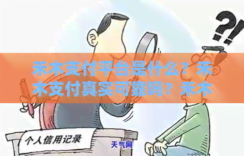 禾木支付平台是什么？禾木支付真实可靠吗？禾木支付涉及传销吗？