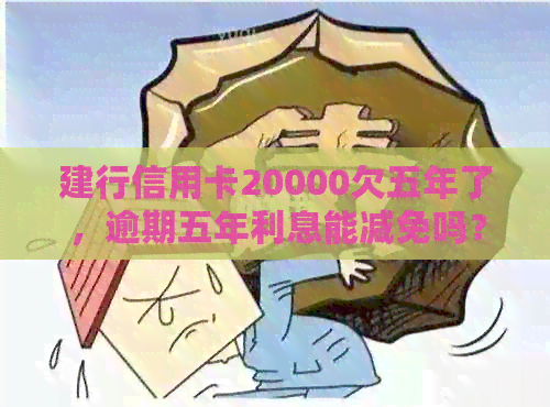 建行信用卡20000欠五年了,逾期五年利息能减免吗?