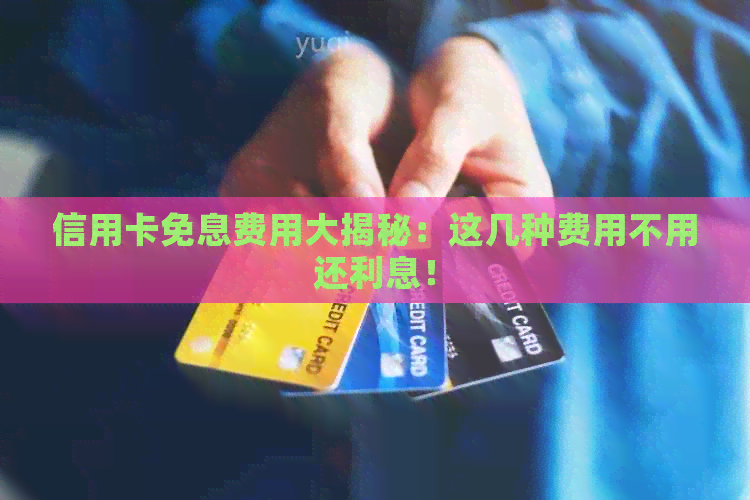 信用卡免息费用大揭秘：这几种费用不用还利息！