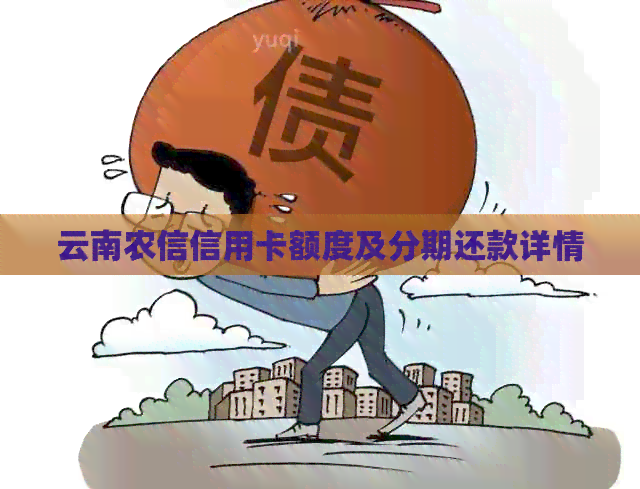 云南农信信用卡额度及分期还款详情