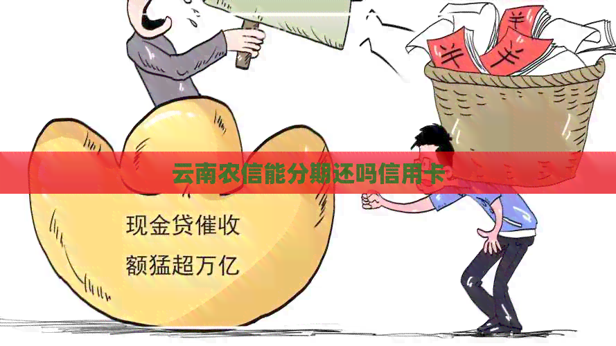 云南农信能分期还吗信用卡