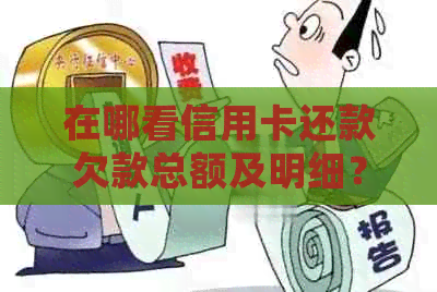 在哪看信用卡还款欠款总额及明细？