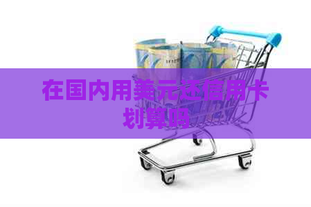 在国内用美元还信用卡划算吗