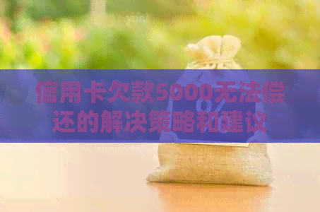 信用卡欠款5000无法偿还的解决策略和建议