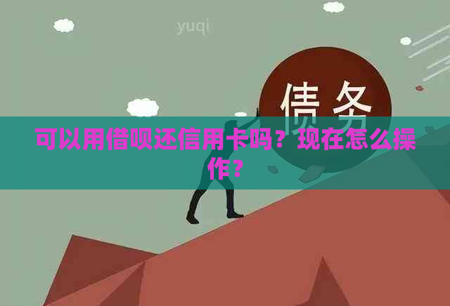 可以用网贷还信用卡吗？现在怎么操作？