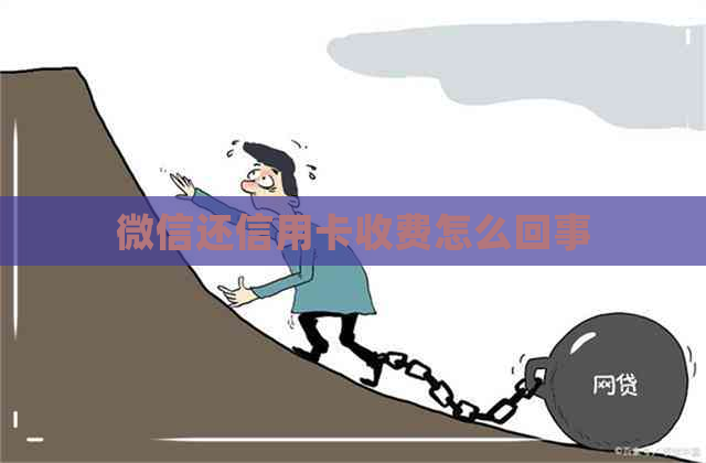 微信还信用卡收费怎么回事