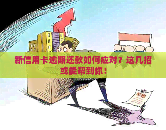 新信用卡逾期还款如何应对？这几招或能帮到你！