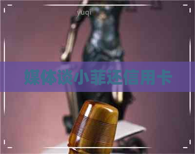 媒体谈小菲还信用卡