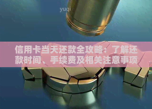 信用卡当天还款全攻略：了解还款时间、手续费及相关注意事项