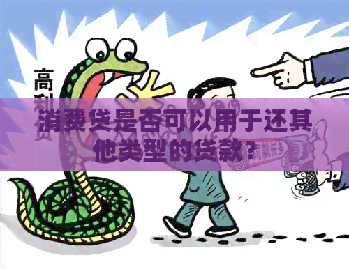 消费贷是否可以用于还其他类型的贷款？