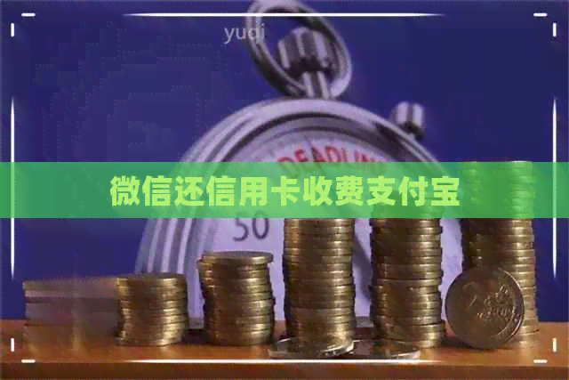 微信还信用卡收费支付宝