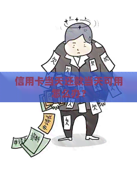 信用卡当天还款当天可用怎么办？