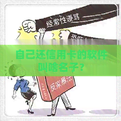 自己还信用卡的软件叫啥名子？