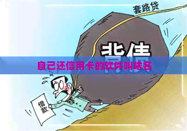 自己还信用卡的软件叫啥名