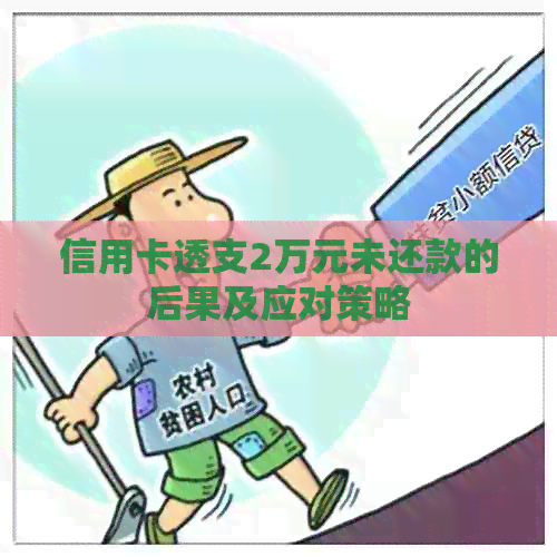 信用卡透支2万元未还款的后果及应对策略