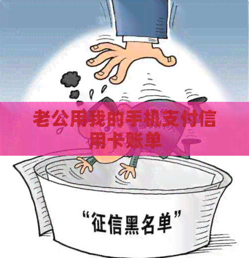 老公用我的手机支付信用卡账单