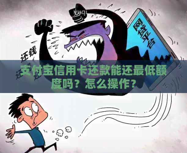 支付宝信用卡还款能还更低额度吗？怎么操作？