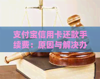 支付宝信用卡还款手续费：原因与解决办法