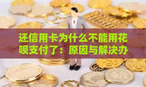 还信用卡为什么不能用信用卡支付了：原因与解决办法