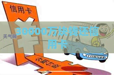 30000万块钱还信用卡