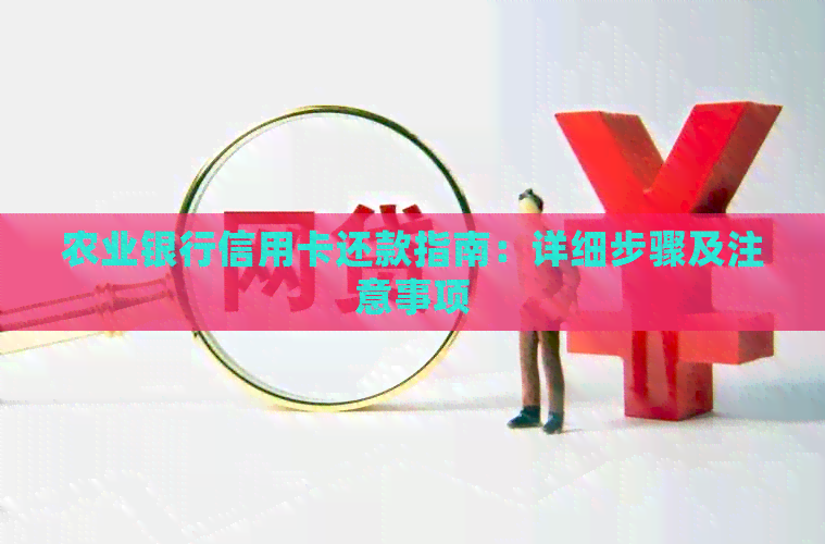 农业银行信用卡还款指南：详细步骤及注意事项