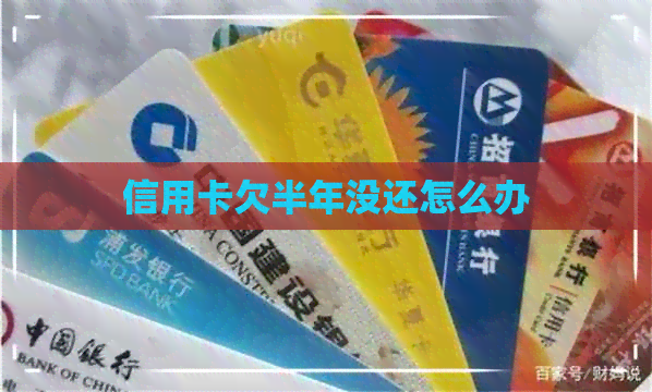 信用卡欠半年没还怎么办