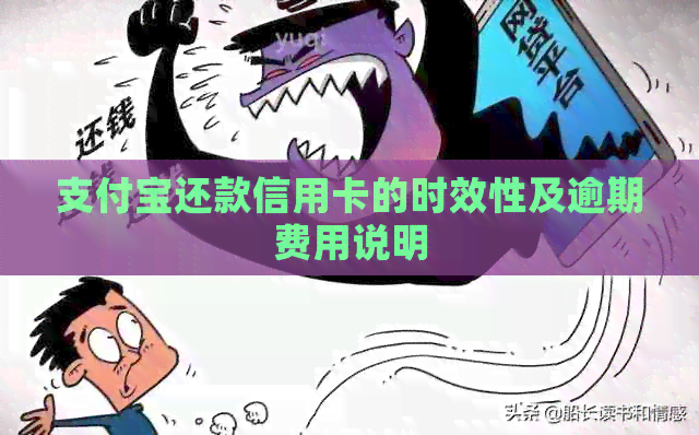支付宝还款信用卡的时效性及逾期费用说明