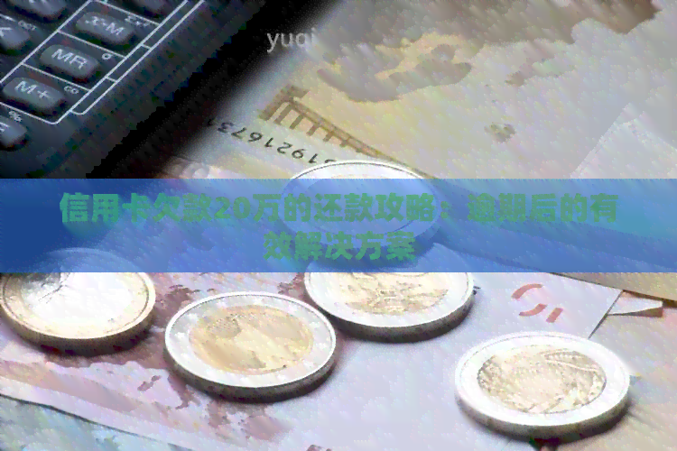 信用卡欠款20万的还款攻略：逾期后的有效解决方案