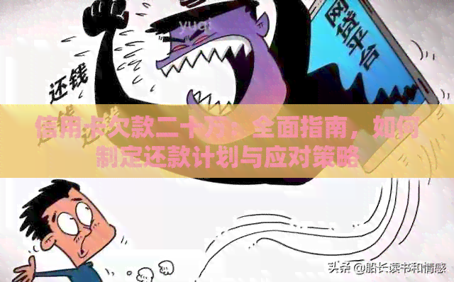 信用卡欠款二十万：全面指南，如何制定还款计划与应对策略