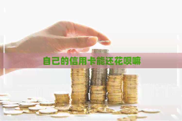 自己的信用卡能还信用卡嘛